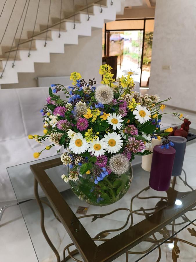 Inaisi Hotel 库塔伊西 外观 照片